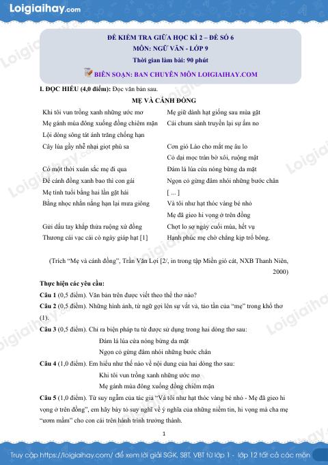Đề thi giữa kì 2 Văn 9 - Đề số 6